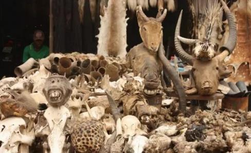 ȫ�����̬��10���ط�������Բ���ȥ��